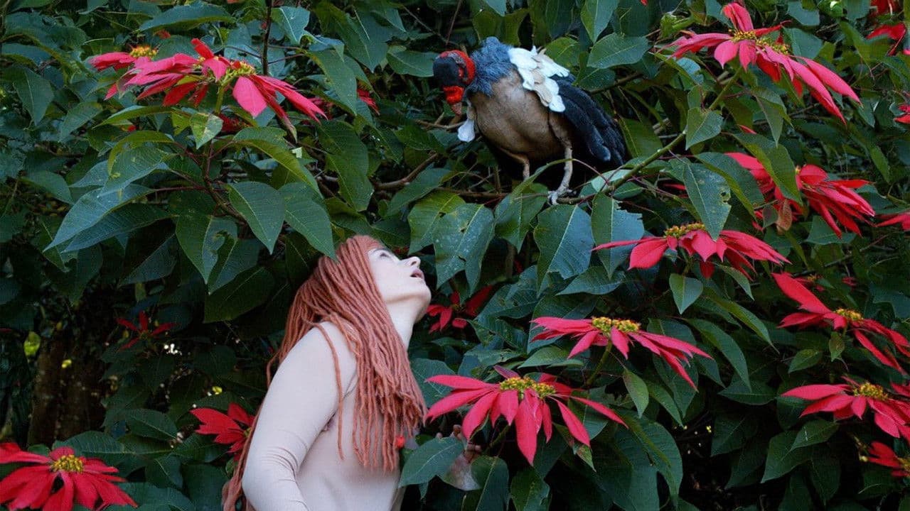 The Diaries of Adam and Eve