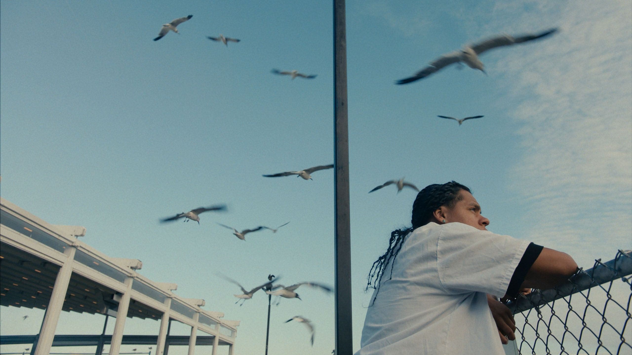 Mad Bills to Pay (or Destiny, dile que no soy malo)